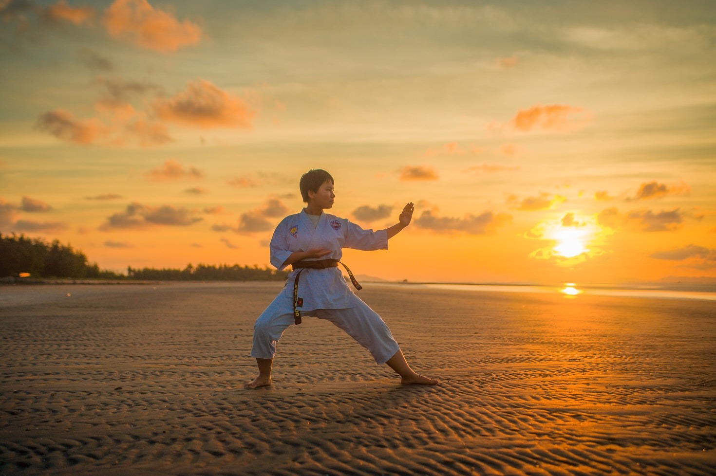 Rapid Skill Development in Martial Arts Training